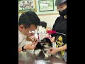 This Dog Didn't Even Notice The Needle 🤣💉 #shorts