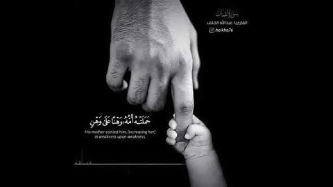 تلاوة خاشعة عن بر الوالدين ستشعرك بالبكاء😢