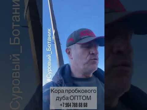 Кора пробковая дубовая оптом в любом объеме 👌 #блокидляорхидей #корадляорхидей #пробковаякора