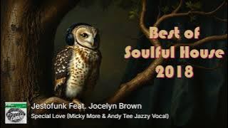DJ Rimiks - Soulful House Year Mix 2018
