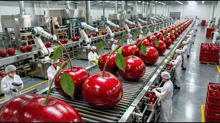 Inside a Cherry Factory: From Giant Raw Cherries to Perfect Red Candied Preserves Wealth