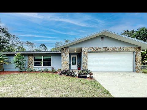 804 Robin Ave, Palm Harbor, FL home video tour