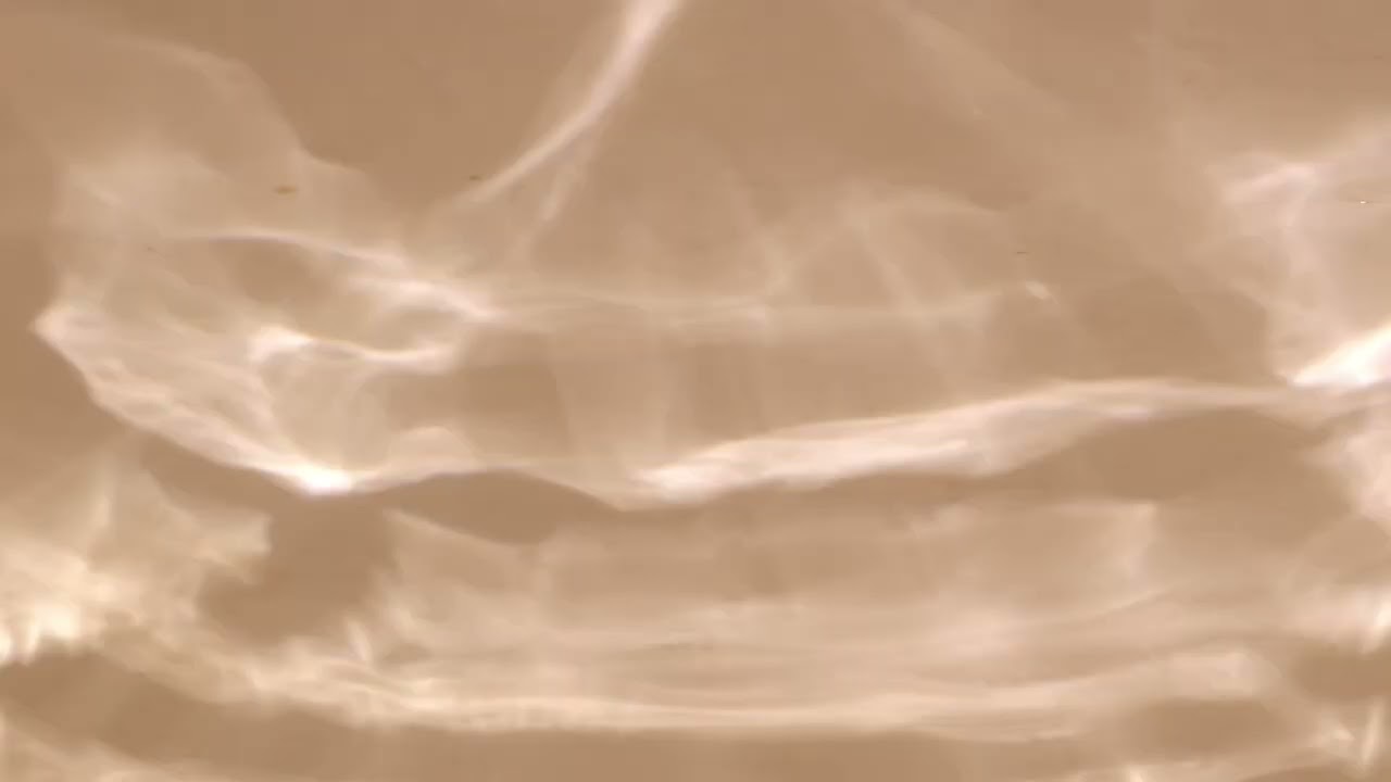 aus + the humble bee - i follow a barren path across the old mountain ♨️