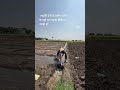 #farming #kisan #kheti #borewell #trending #like #kshipra #indianfarmer #youtube #love #fitness