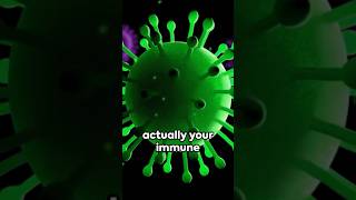 Green Mucus  Infection or Myth?