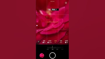 Creative macro photography ideas using Adcom 15x macro from 5 in 1 lens kit #shotwithadcom