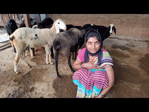 Morning gym#vlog Morning gym#vlog