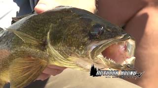 Nestor Falls FlyIn Outposts Ontario Walleye