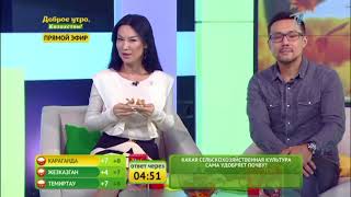 Доброе утро, Казахстан! Выпуск от 24.10.2017 Доброе утро, Казахстан! Выпуск от 24.10.2017