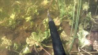 42 Forest spearfishing 2013 - Part 2 - Pneumatic fails
