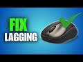 How To Fix Mouse Lagging &amp; Freezing Issue (2025)