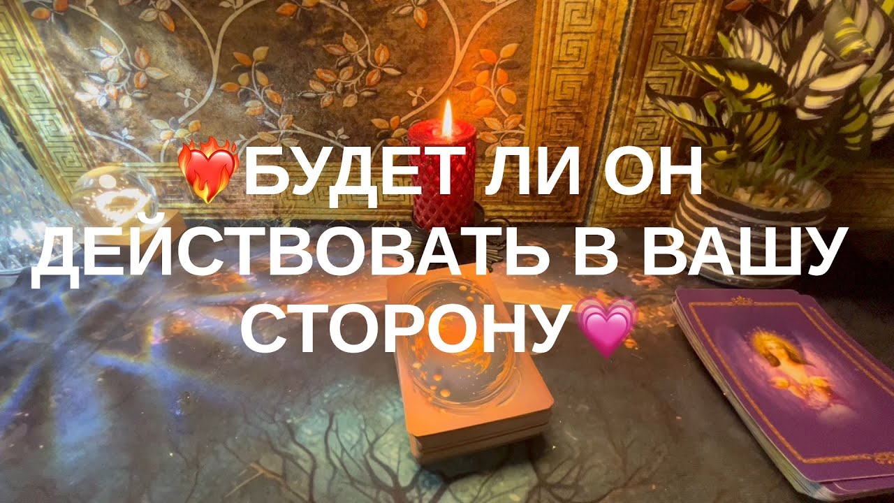 10 ноября 2025 г.