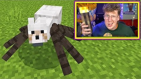 ⛏️🏕️💎DAG 2 CREATORSMP: ZÉÉR BELANGRIJKE DINGEN DOEN!🌋🐑🎪