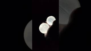 Glo balls from the dollar tree!! #dollartree