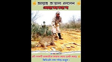 Allah Hu Akbar 💟 Rescue Bobcat stuck in the trap of hunting ☝️#ayat #shorts #recitation #trending