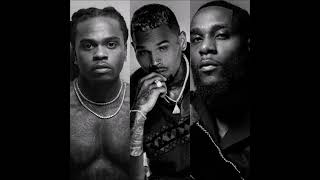 Gunna , Chris Brown & Burna Boy - wgft (Official Remix/Official Audio)
