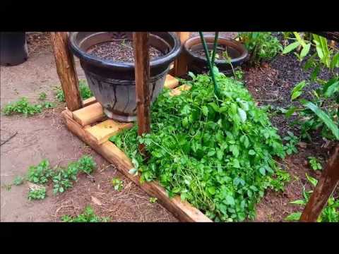 Video: Composting Luav Manure: Siv Luav Manure Fertilizer Hauv Lub Vaj