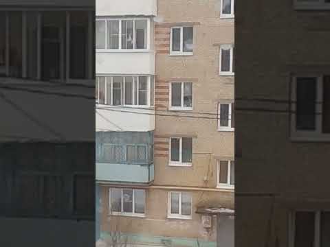 Музей,,Спасское'имени В.А.Стародубцева. Тульская
