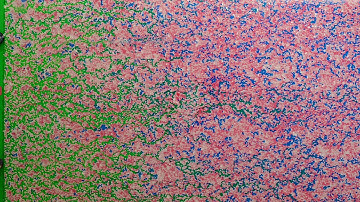 Visual Reservoir - Episode Three: Polymer Flooding