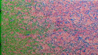 Visual Reservoir - Episode Three Polymer Flooding