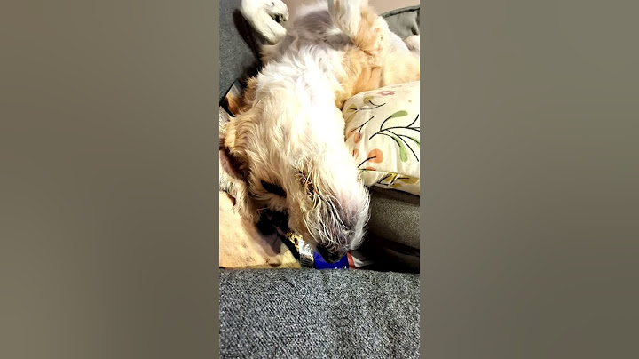 Sleeping tooth fairy 😬🦷🤣