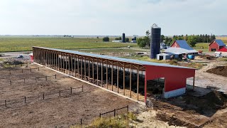 Innovative Cattle Barn Monoslope Design by 1Source Construction: See It in Action