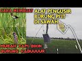 CARA MEMBUAT ALAT PENGUSIR BURUNG PI