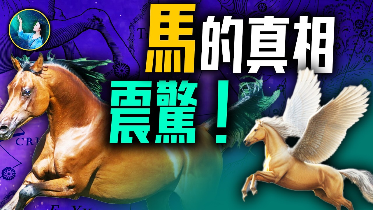 顛覆認知的馬真相 震驚所有人！神祕的上古神馬｜龍馬和伏羲河圖｜天馬和敦煌壁畫｜半人馬和天空中的星座 | #未解之謎 扶搖