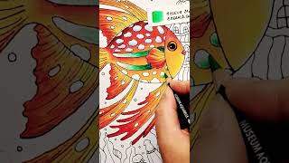 Lulu Mayo A Million Sea Creatures ... Coloring Video Coming Soon