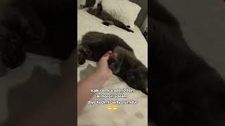 Karadenizli Olup Horon Etmeyen De Ne Biliyim😄😄😂 Ğlencelilar Şfet 😍