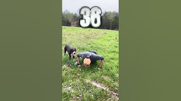 Day 92 of doing knuckle pushups #challengeshorts #pushups #shortsfeed #bodyweightexercises #knuckle