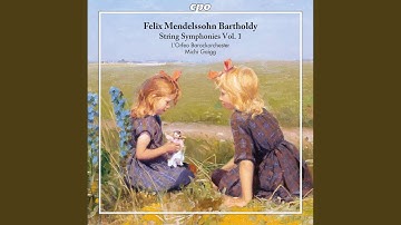 String Symphony No. 2 in D Major, MWV N 2: II. Andante