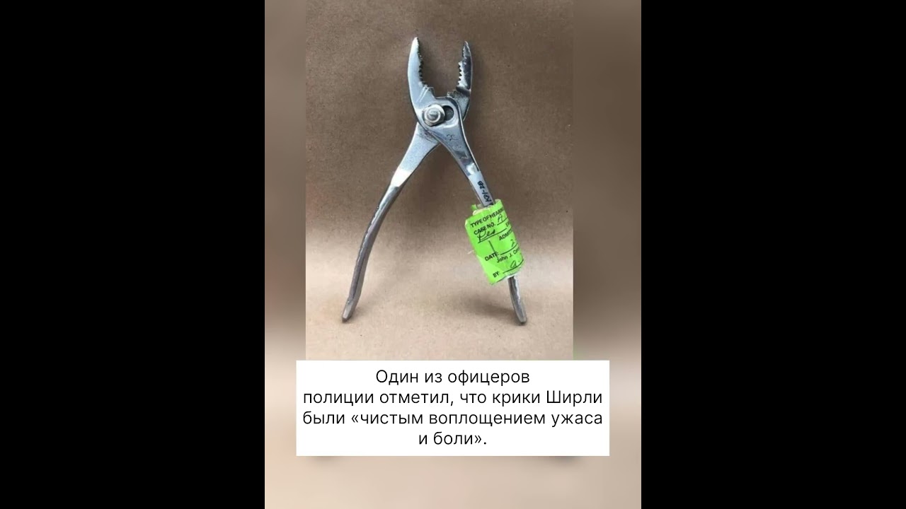 История Линет: Убийство, которое шокировало всех. • 