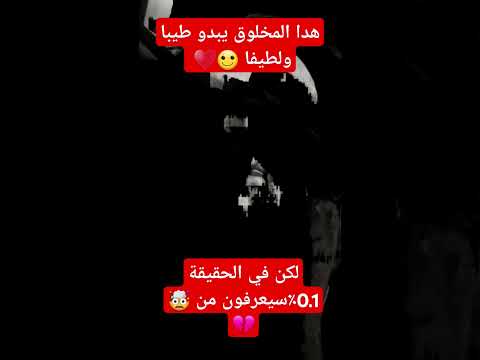 رعب نص الليل الجزائر اكسبلور   جيش الرعب