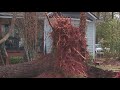 Severe weather in metro Atlanta: A look at the damage
