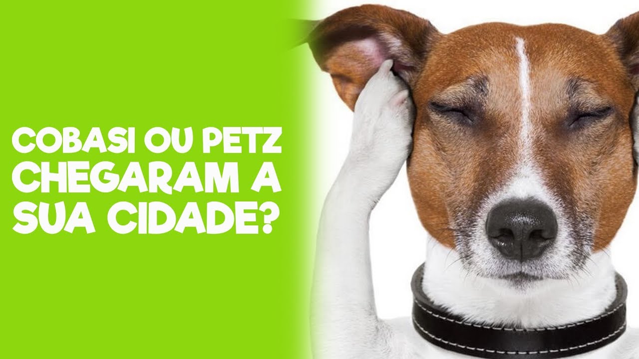 Cobasi quer voltar a ser líder em pets após perder dianteira para Petz –  Data Mercantil