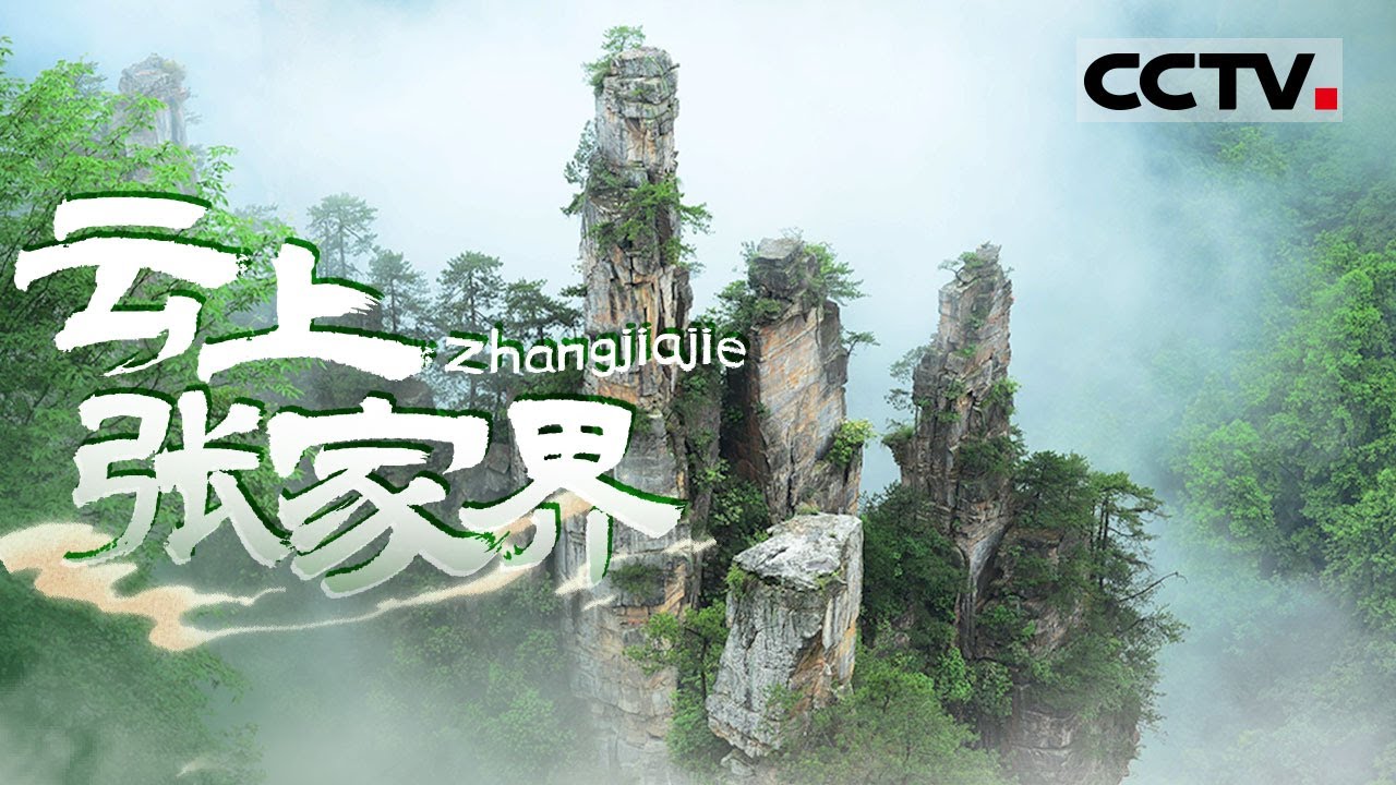探索云上张家界的奇幻魅力 发现《阿凡达》背后的自然灵感与旅游体验揭秘！【CCTV纪录】