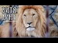 ХОЗЯИН "ИШАЧКА" о ПЛАНАХ РАЗВИТИЯ! ❤️ВИТЯ и ДИНА ждут сюрприз! БЛАГОДАРНОСТЬ СОТРУДНИКАМ!