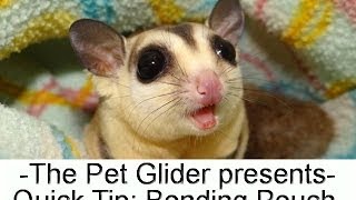 How to Put Sugar Gliders in a Bonding Pouch