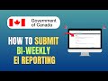 HOW TO SUBMIT BI-WEEKLY EI REPORT - 2026 UPDATE
