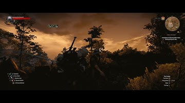 The Witcher 3 - Part 32 |  Question Marks?