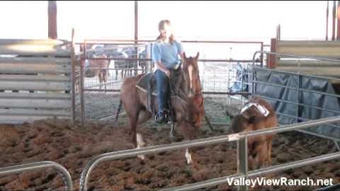 Moe  ***For info, price, etc., go to our website***    Valley View Ranch