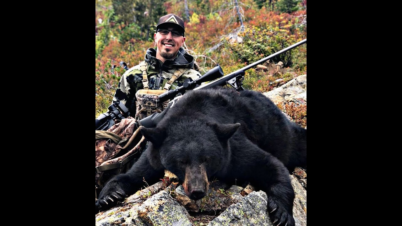 Idaho Fall Bear Hunt YouTube