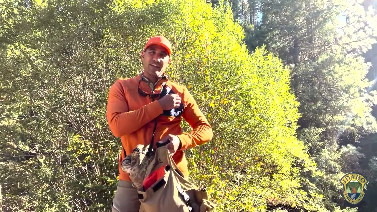 What to Bring Grouse Hunting YouTube