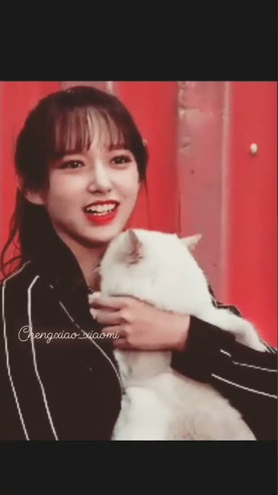 Chengxiao with her cats💞  Susu & Jinjin🙆‍♀️😍 #chengxiao #chineseactress #kpopidol #love #wjsn #cute