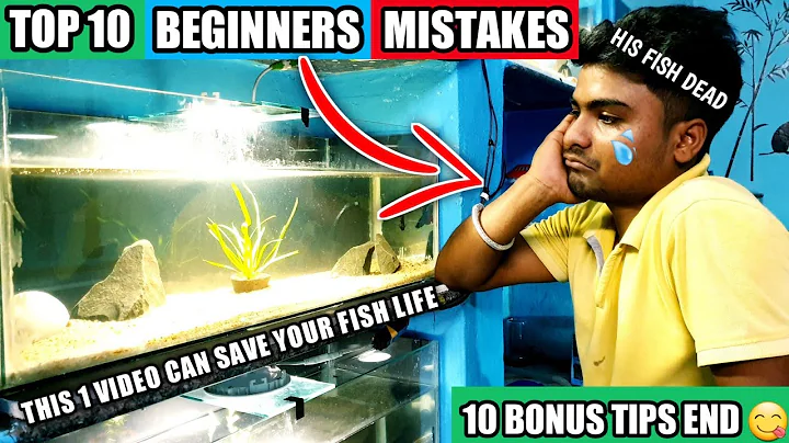 TOP 10 BEGINNER MISTAKES *NEW* IN AQUARIUM | How Fish Die in Aquarium Save Your Fish From Dying Soon - DayDayNews