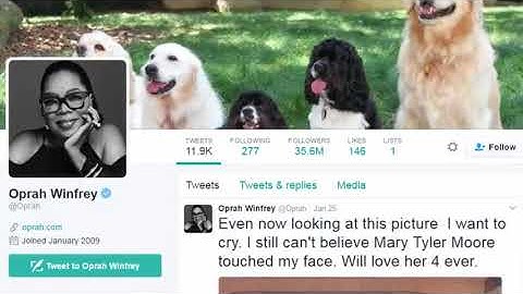 Twitter Automation Tools