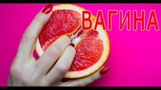 Вагины Вагины