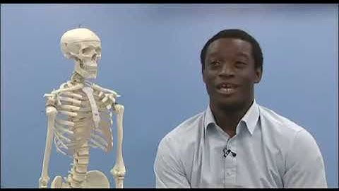 Careers using Maths - Trainee Clinical Scientist - National HE STEM Programme