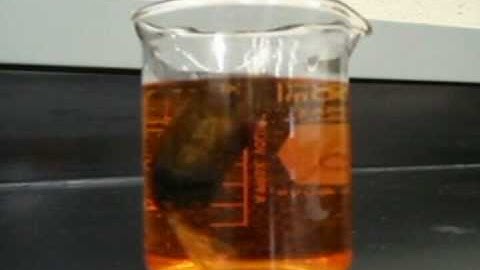 Science Experiment - Diffusion Through a Membrane